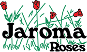 Jaroma Roses